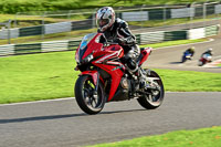 Lower Group Red Bikes